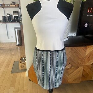 Striped Blue and White Skirt